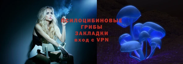 соль курить ск Бородино