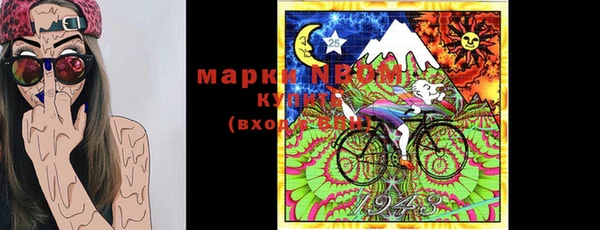 гашик Верея