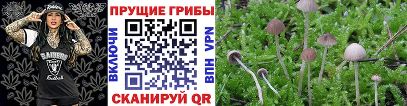 Галлюциногенные грибы MAGIC MUSHROOMS  МЕГА tor  Клин 
